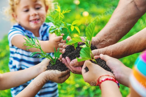 Preview: Grandmother and child hold a tree sprout in their hands. Selective focus.