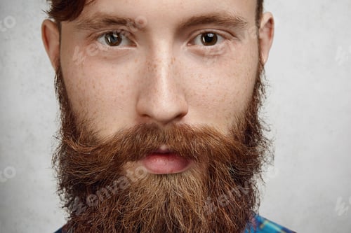 Preview: Masculinity and macho. Highly-detailed close up shot of attractive stylish man with thick fuzzy bear