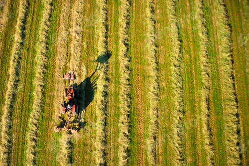 Preview: Dry the hay in the open field