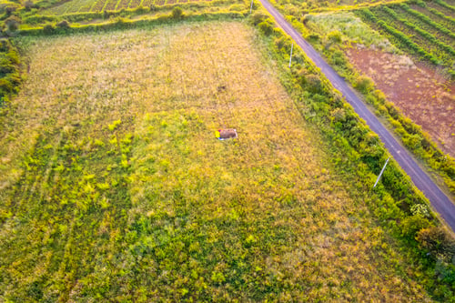 Preview: Aerial view of the green agriculture field, India.