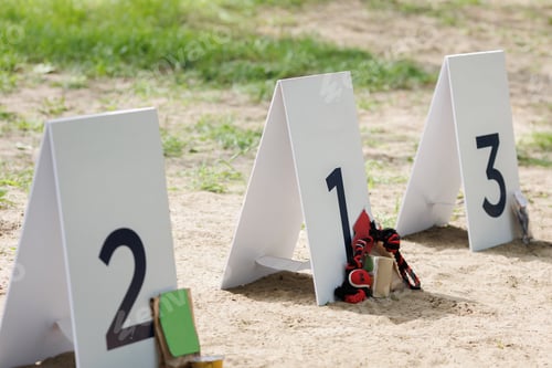 Preview: White plates with numbers are prepared for the dog show.