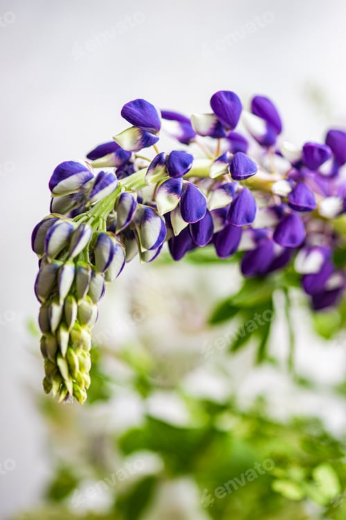 Preview: Spring flower bouquet