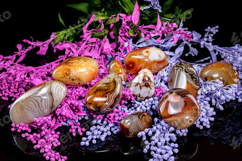 Preview: Polished Agate Stones with Flowers