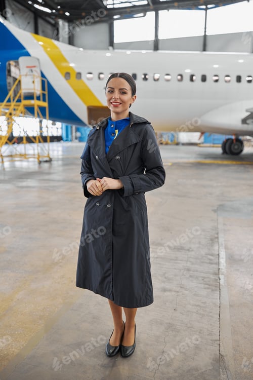 Preview: Portrair of plane crew in hangar of technical service