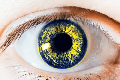 Preview: Macro photo of human child eye looking at the side
