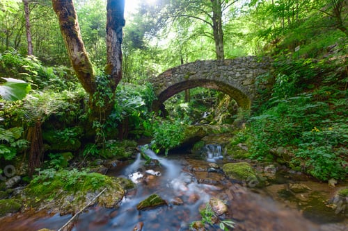 Preview: Small stone bridge in the forest