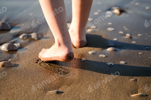 Preview: Toddler feet’s boy on wet sand