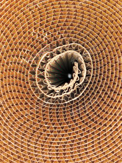 Preview: Cardboard Shapes