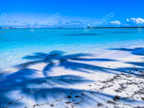 Preview: Paradise island