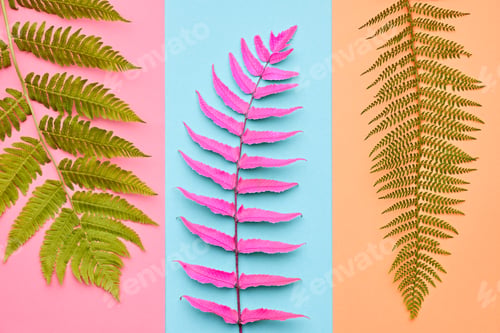 Preview: Concept