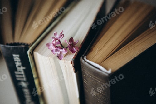 Preview: vintage books and lilac branch, book aesthetic