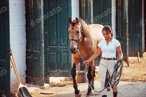 Preview: Getting ready for the ride. Horsewoman in white uniform with her horse at farm. Ready for the ride
