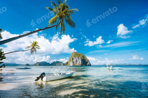 Preview: Exotic tropical seascape with palm tree, jetty pier, boats, blue sky and white clouds