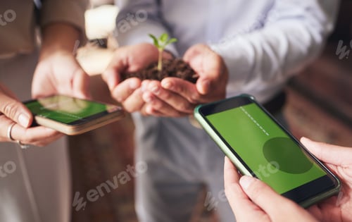 Preview: Phone, business growth and hands with green plant for sustainable mobile app, website or project st
