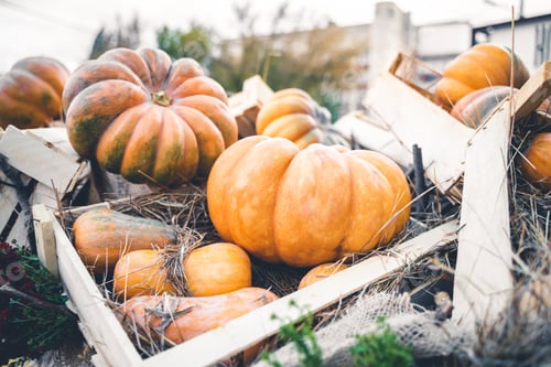 Preview: Bright orange Halloween pumpkins in a wooden crate