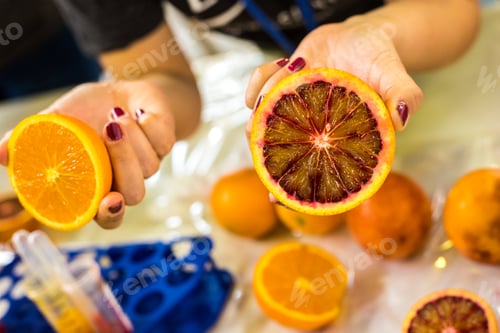 Preview: Bloodye Orange cut in half