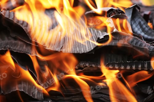 Preview: Burning Cardboard