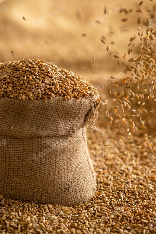 Preview: Burlap Sack Filled with Grains and Falling Seed
