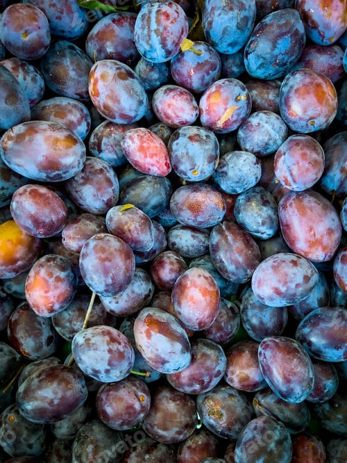 Preview: fresh ripe plums as background