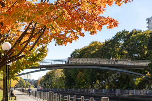Preview: Footbridge over Rideau Canal framed by autumn leaves in Ottawa.