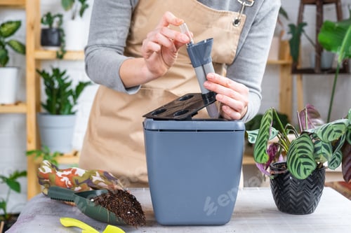 Preview: Pot for plants with automatic watering, transplanting Calathea into a double pot, watering from a wa
