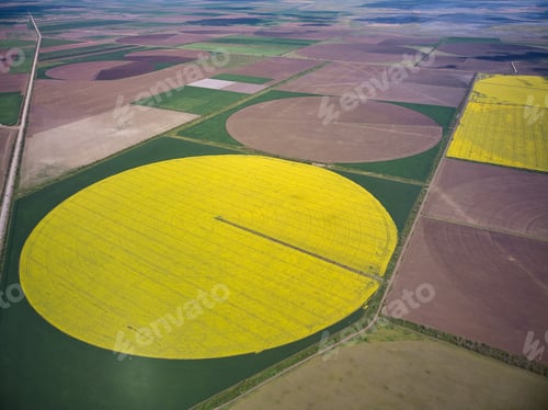 Preview: Center pivot irrigation system on a yellow rapeseed field aerial view