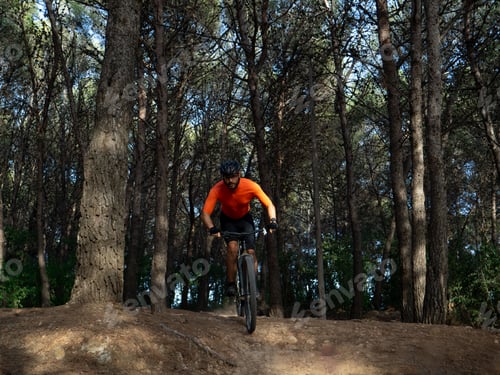 Preview: Mountain biker man in a forest. Mountain bike