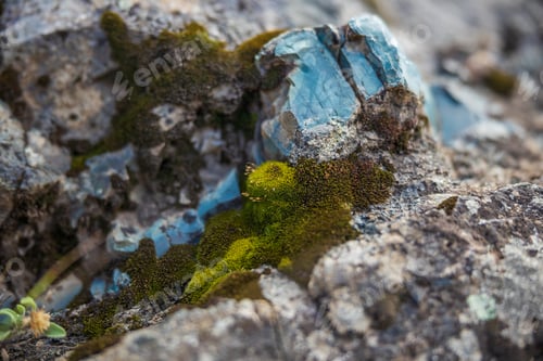 Preview: Turquoise rock formation close up with green moss