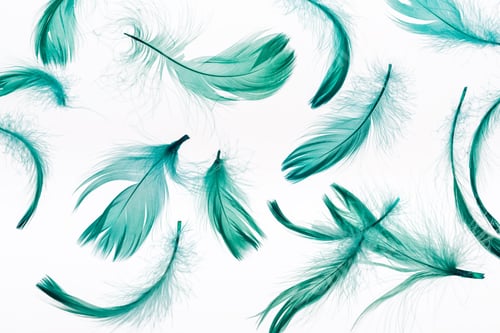 Preview: seamless background with bright green soft feathers isolated on white