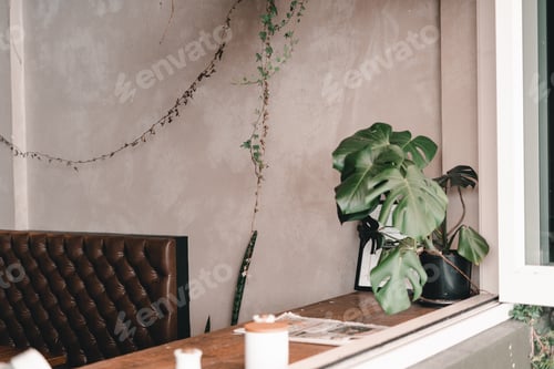 Preview: nice coffee shop wall with small leaf plant hanging from ceiling next to leather sofa and wooden