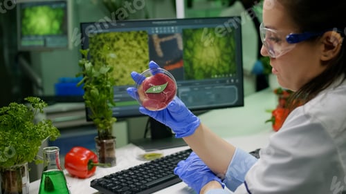 Preview: Chemist researcher holding petri dish with vegan meat in hands