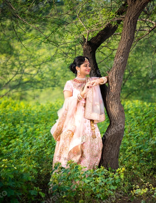 Preview: Beautiful Indian bride in traditional wedding dress.