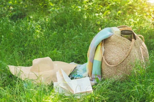 Visualização: DSC03757