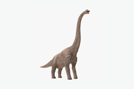 Preview: Brachiosaurus lateral view, open mouth