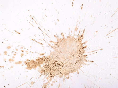 Preview: Light brown coffee splatters and streaks on a white background.