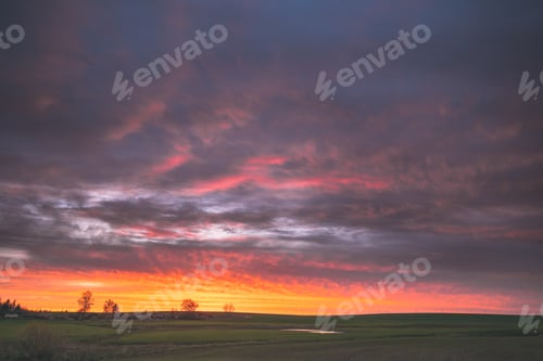 Preview: Spring Field In Evening Sunset. Natural Bright Dramatic Sky Pink Magenta Purple Colours Above