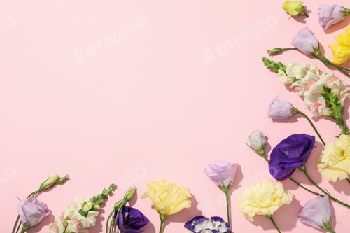 Preview: Beautiful, pink flowers on a white background.