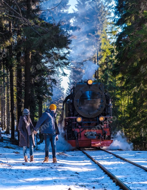 Preview: couple of men and women watching the steam train during winter in the snow in the Harz Germany