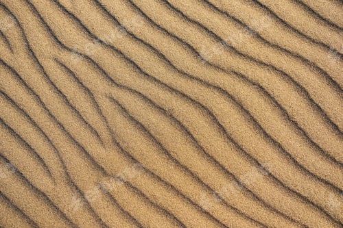 Preview: The sand dunes during sunset as a background. Summer composition in the desert.