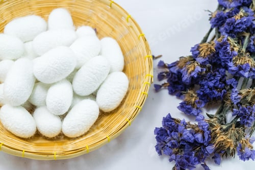 Preview: white silk cocoon, silky, fiber