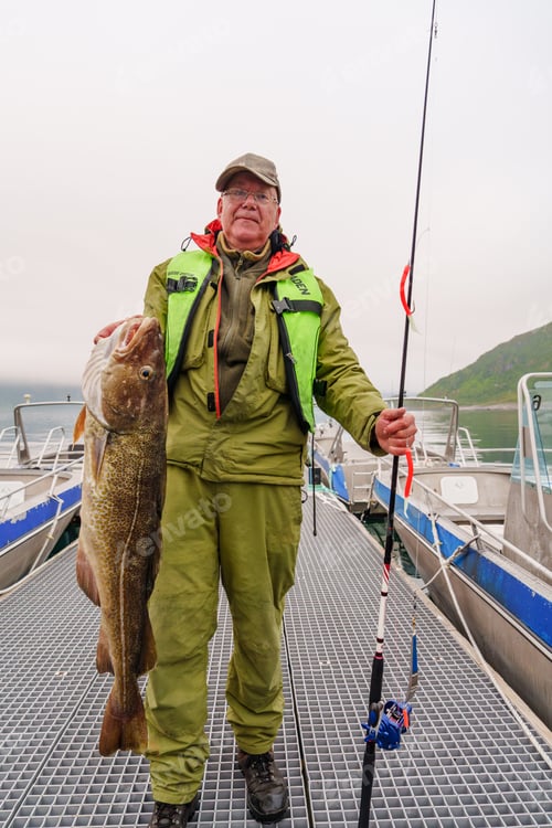 Preview: Fisherman holding a huge fish Cod. Norway Fishing tourism. Senior fisherman in ocean, fjord fishing.
