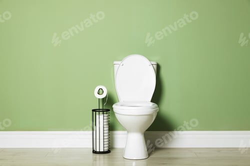 Preview: Ceramic toilet bowl and paper near green wall indoors