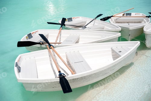 Preview: Docked white rowing boats in a lake.