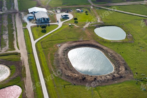 Preview: Water pond on cattle grazing in pasture field. Drinking source for milk cows