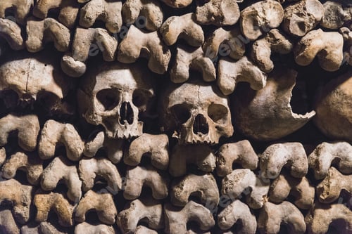 Preview: Catacombs of Paris underground ossuaries, France
