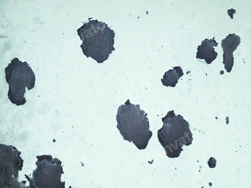 Preview: Grunge Textures And Backgrounds