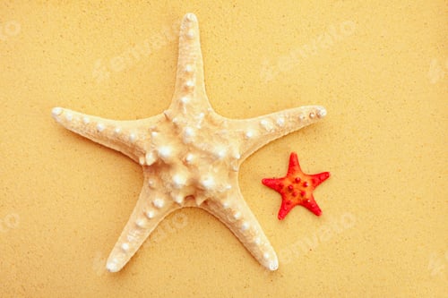 Preview: Two starfish on sand