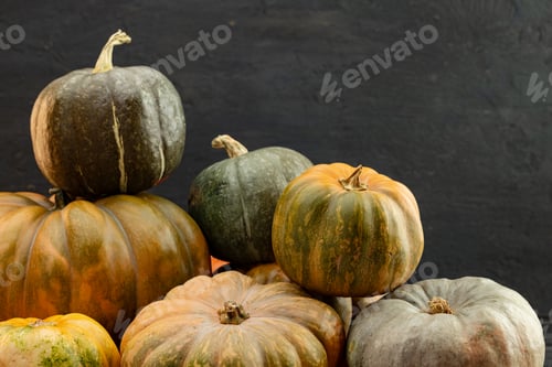 Preview: Assortment of different pumpkins on dark wooden background