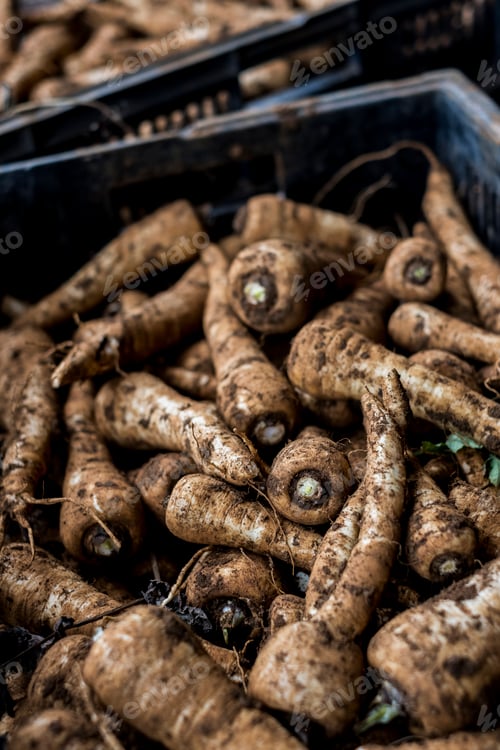 Preview: High angle close up of crate of freshly picked parsnips.