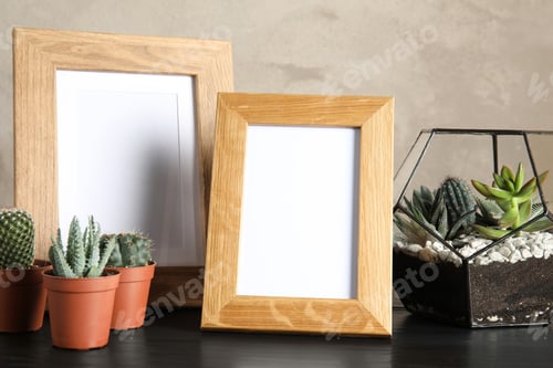 Preview: Succulent plants and photo frames on table near color wall, space for design. Home decor
